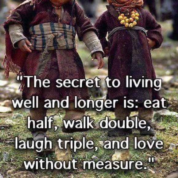 Meet your Posher, Violet - Picture 2 of 8